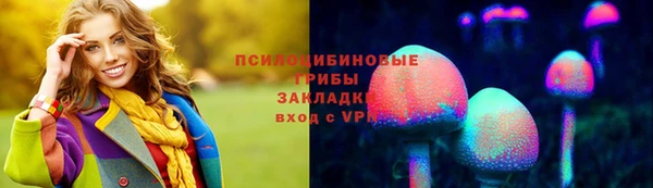 соль ск Абаза