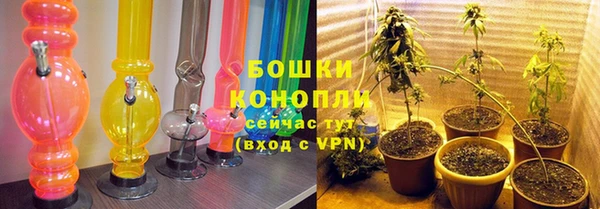 соль ск Абаза