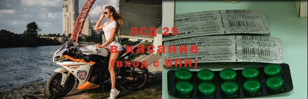ПСИЛОЦИБИНОВЫЕ ГРИБЫ Алексеевка